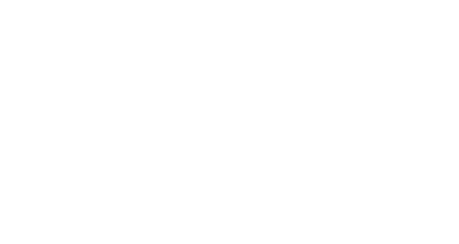 DS Immo Partners AG